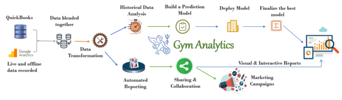 Gym Analytics