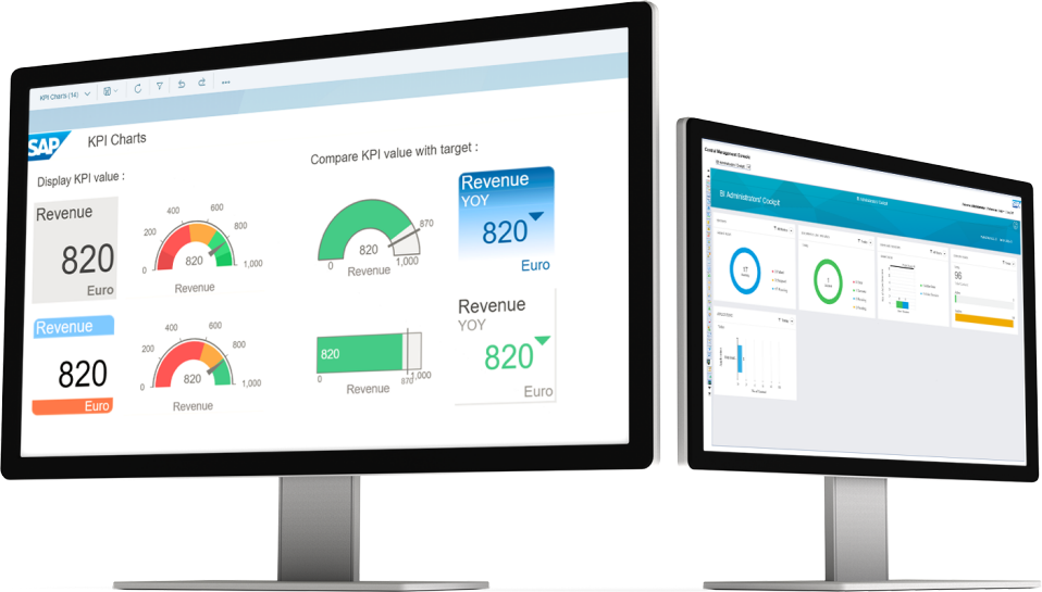 SAP BusinessObjects Business Intelligence Tool