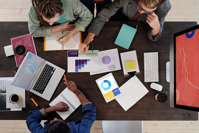 Data Analysts