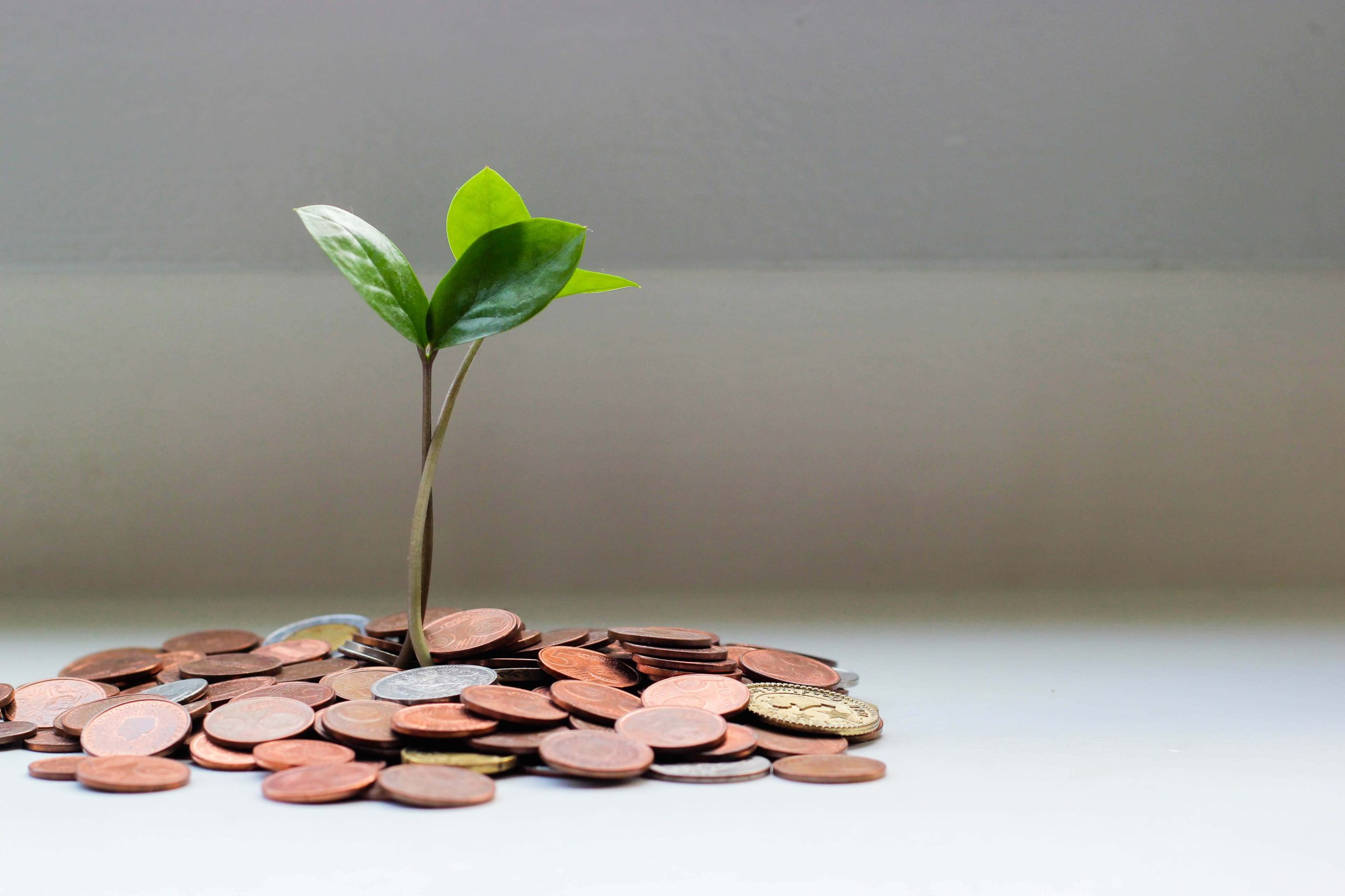 FinTech crowdfunding app