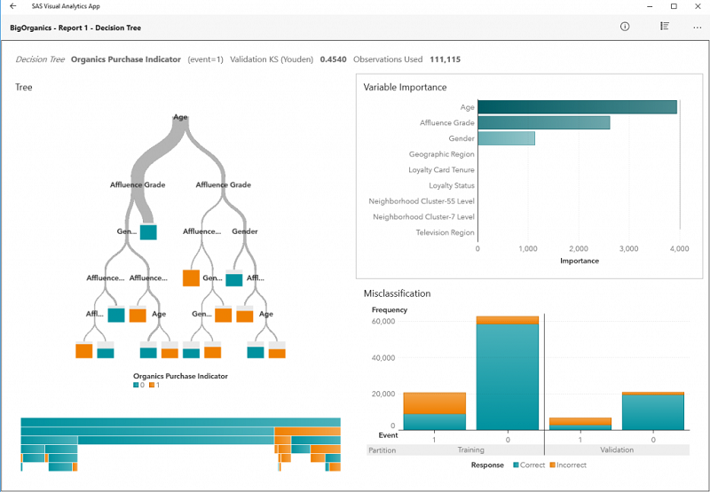 SAS Visual Analytics Business Analytics Dashboard