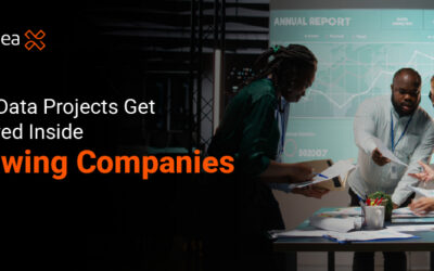 Why Data Projects Get Delayed Inside Growing Companies